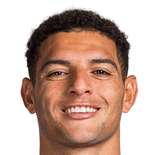 Diego Carlos Santos Silva