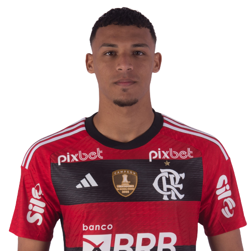 Victor Hugo Gomes Silva