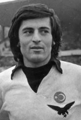 Ahmet Börtüçene