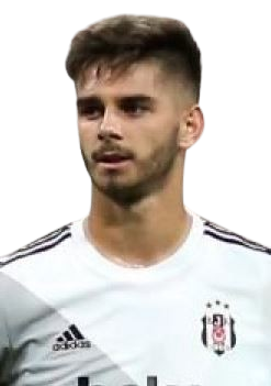 Ajdin Hasic