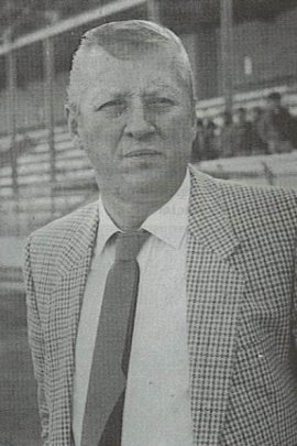 Metin Türel