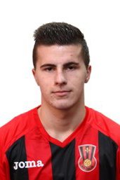 Dzenan Burekovic