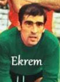 A. Ekrem Çakır