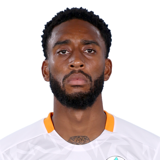 Leroy Johan Fer