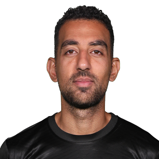 Ahmed Hassan Mohamed Abdel Monem Mohamed Mahgoub