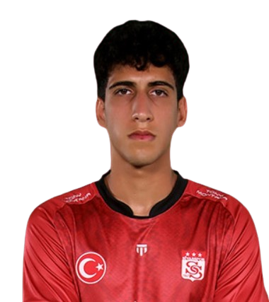 Mehmet Albayrak