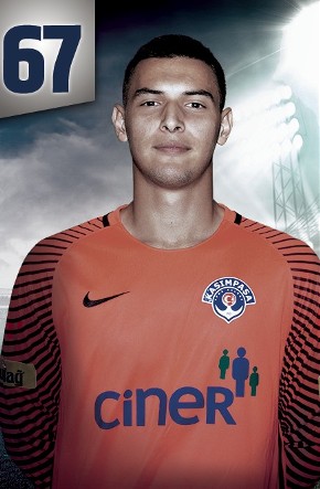 Mehmet Enes Sarı