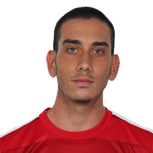 Mücahit Serbest