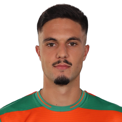 Nuno Miguel Reis Lima