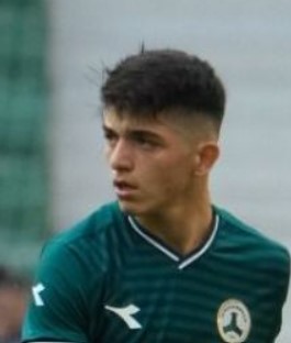 Şahin Dik