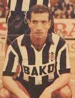 Ziyaeddin Doğan